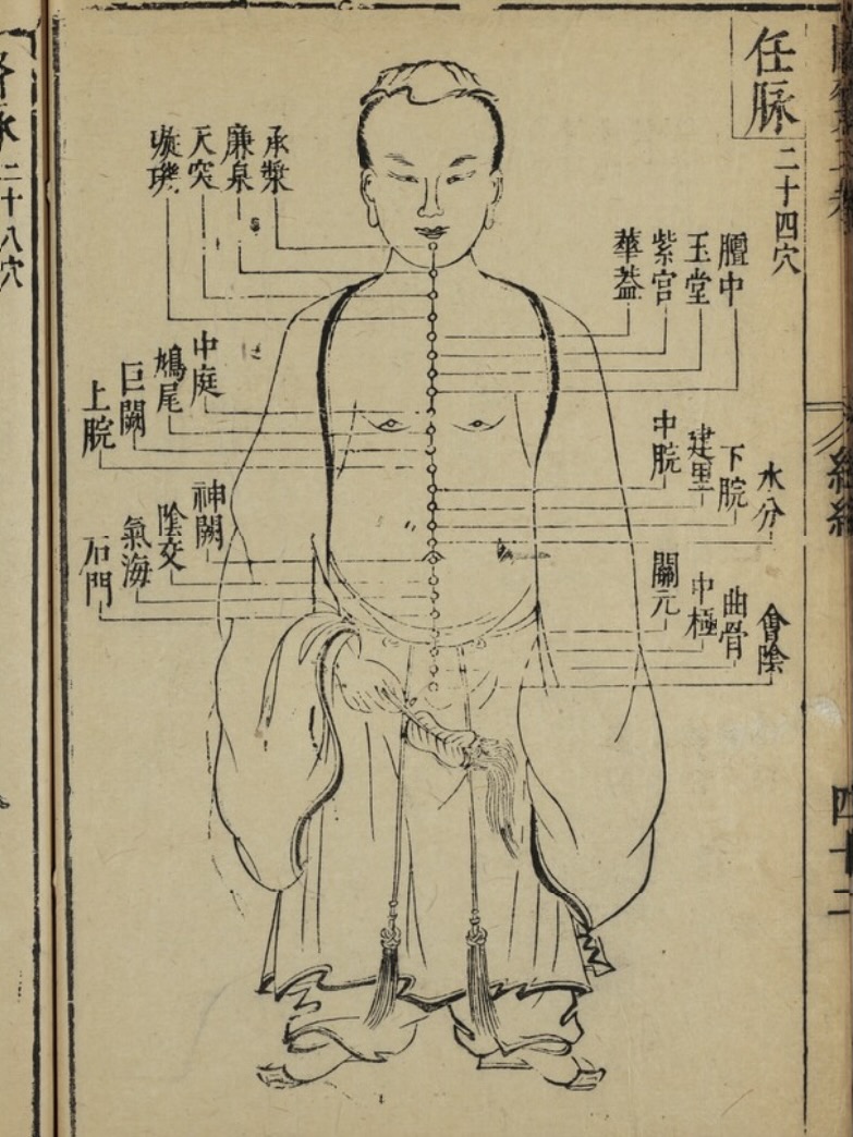 任脈とは《前編》…流注を学ぶ