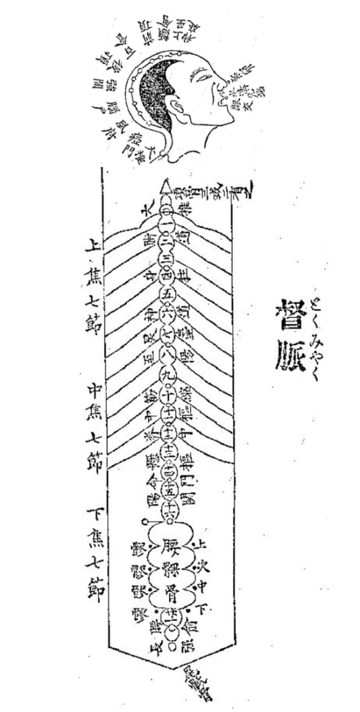 奇経八脈って何だろう＜前編＞