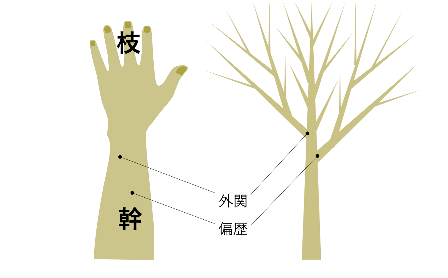 絡脈 (十五絡) とは 絡脈 (十五絡) とは